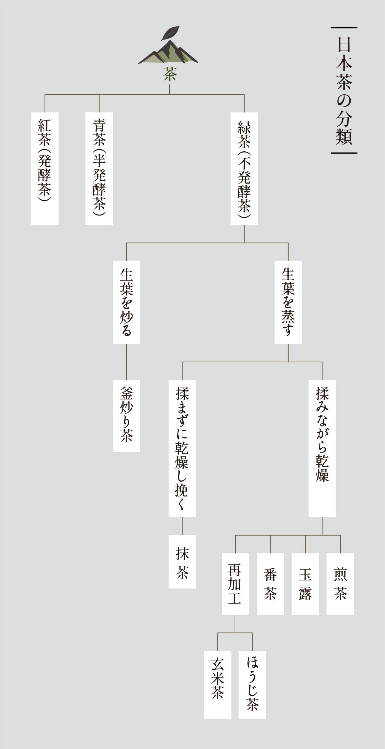 日本茶の系統図